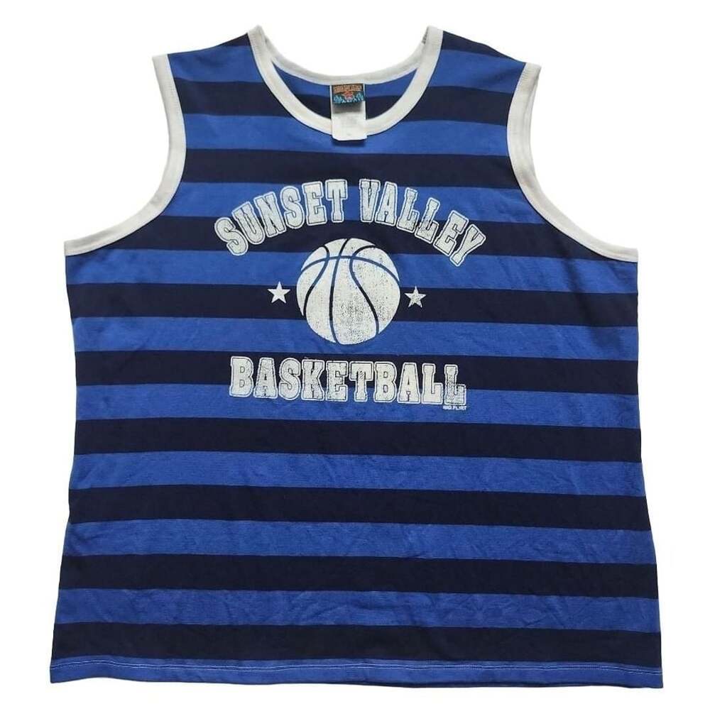 Big Flirt Sunset Valley Basketball Striped Tank Top Blue White 3X